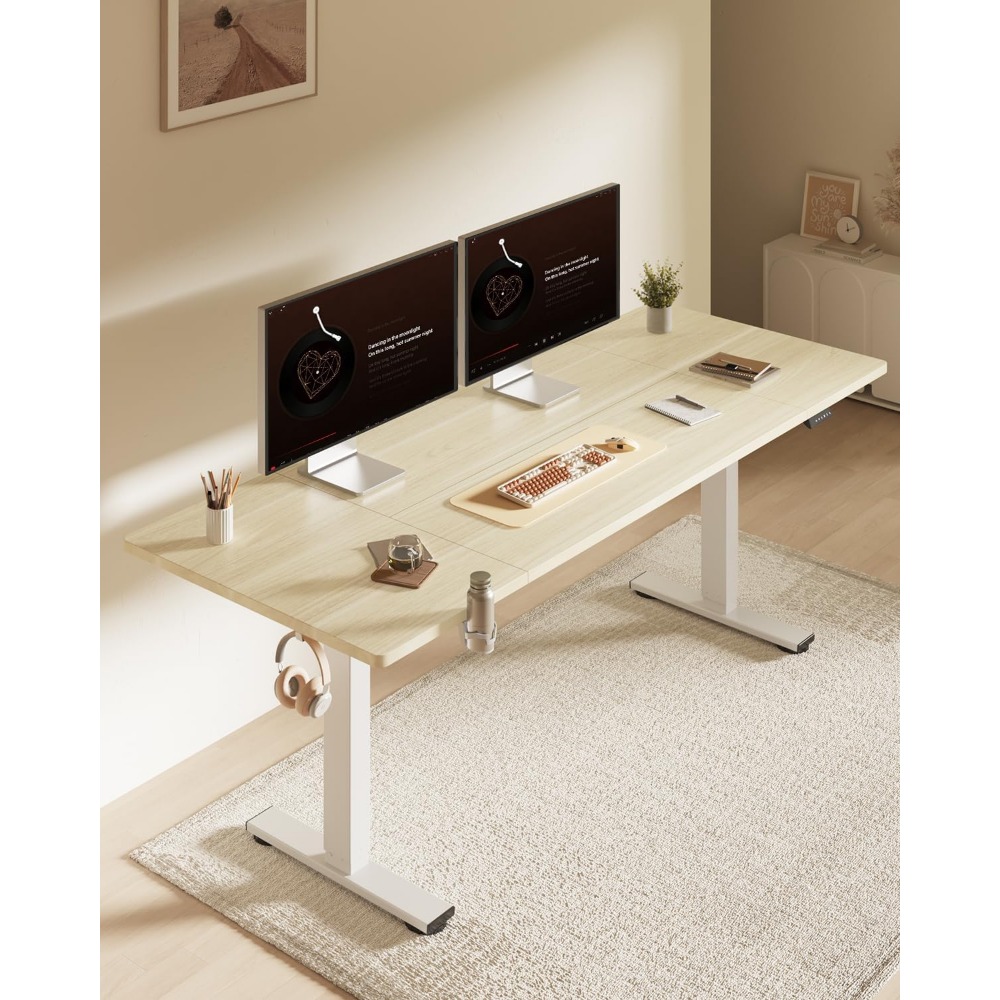 FLEXISPOT 63x32인치 전동 스탠딩 데스크,  - Setup Desk Monitor 리뷰 및 가격
